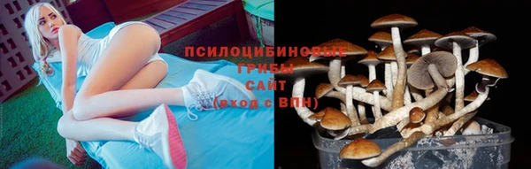ALPHA-PVP Алексин