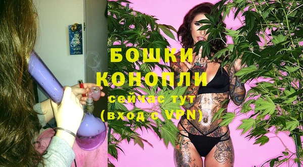гидра Алексеевка