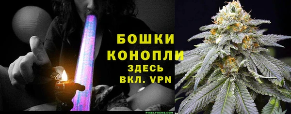 гидра Алексеевка