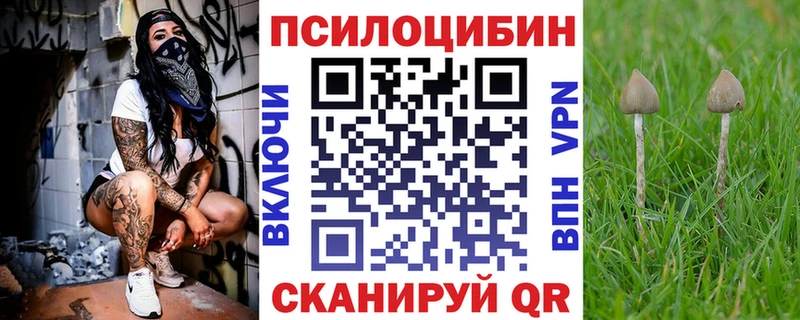 купить наркоту  Билибино  Галлюциногенные грибы Psilocybine cubensis 
